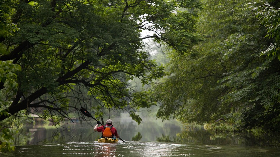 68534926-1DD8-B71B-0BD61EB113F36D8A