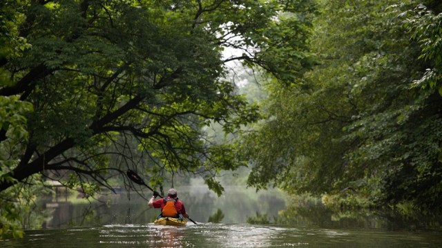 68534926-1DD8-B71B-0BD61EB113F36D8A